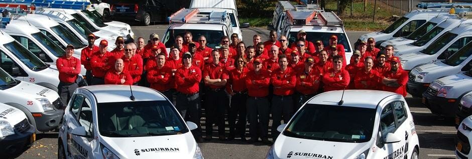 The Suburban Exterminating Team and their fleet of vehicles.