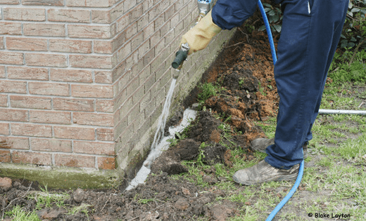 Exterminator spraying outside base of house