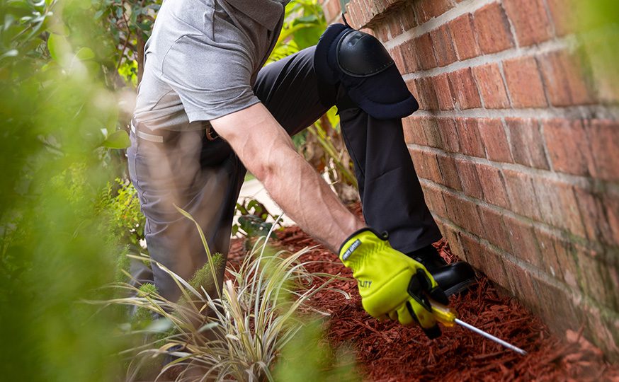 Exterminator checking for termite along outside of house