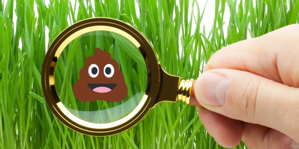 What type of poop is this? Suburban Exterminating teaches you how to identify pest poop in Suffolk County & Nassau County
