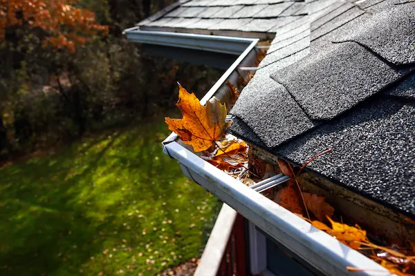 gutter of a home clogged with leaf litter.
