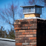 Chimney Caps Your Solution to Bird Management in Long Island NY metro area | Suburban Pest Control