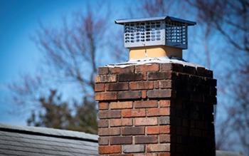 Chimney Caps Your Solution to Bird Management in Long Island NY metro area | Suburban Pest Control
