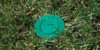 green sentricon termite baiting system in ground surrounded by grass
