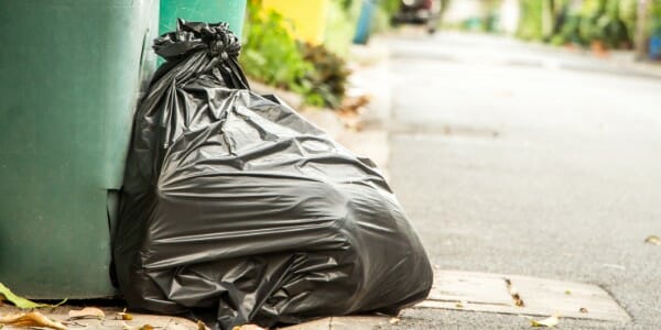 Bag of garbage at curb