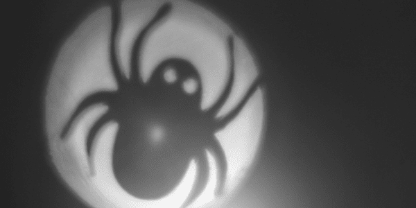 Spider silhouette