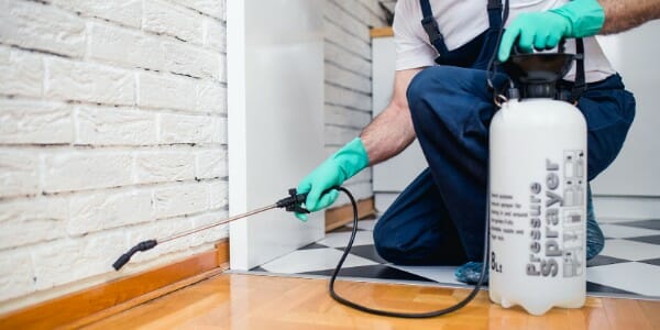 Exterminator Spraying Baseboards