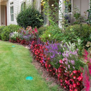 front yard of home with sentricon termite system input into ground in front of a bed of flowers and shrubs