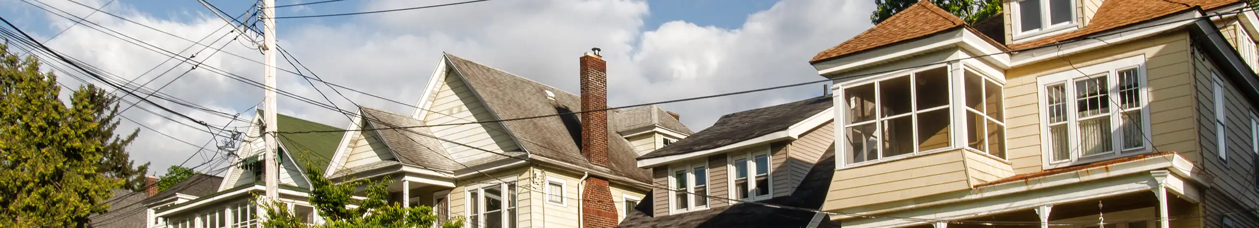 Suburban homes in a line on a residential street - Keep pests away from your home with Suburban Exterminating in NY