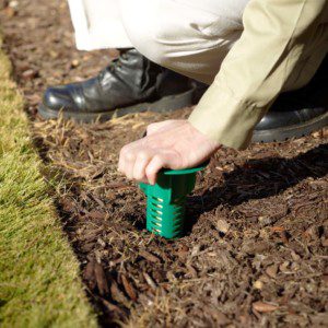 Termite Extermination Technician for Suburban Exterminating setting up a green Sentricon Termite Baiting System in New York.