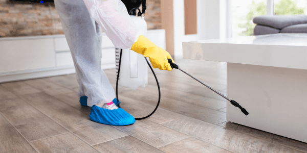 exterminator spraying