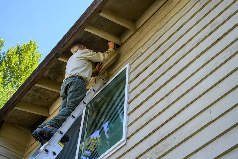 Professional installing a vent cover to keep pests out of an attic.