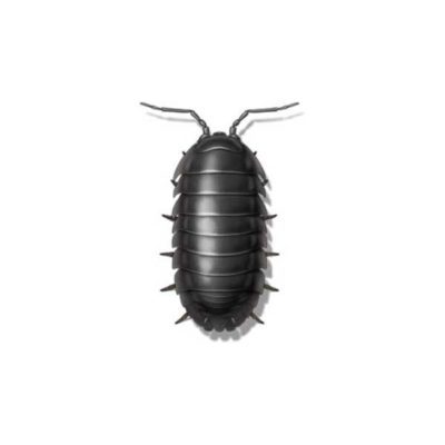 Sowbug