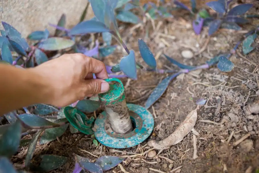 Hands installing termite baiting system