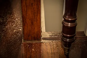 Saw dust pile at the base of a staircase in a home