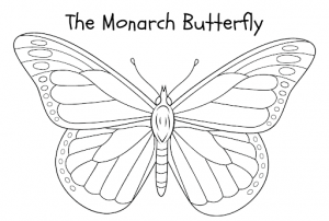 monarch butterfly coloring page